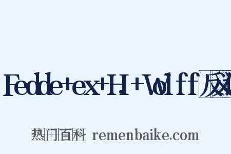 Fedde+ex+H.+Wolff反义词是什么意思的图片